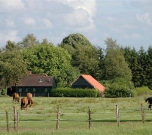 20 jaar De Gewijde Reis - oude doos deel 1